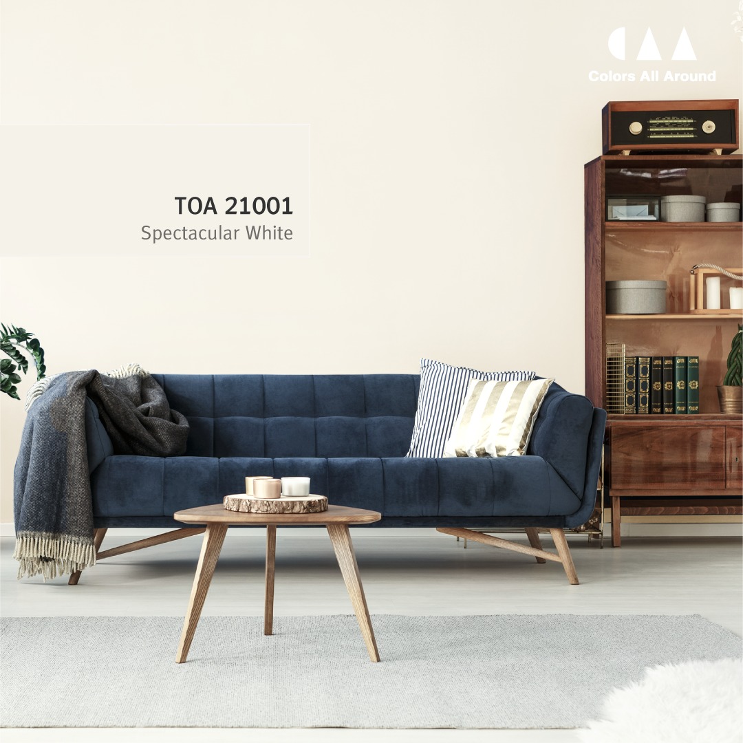 สีทาภายในสีขาวสวยๆ TOA 21001 Spectacular White