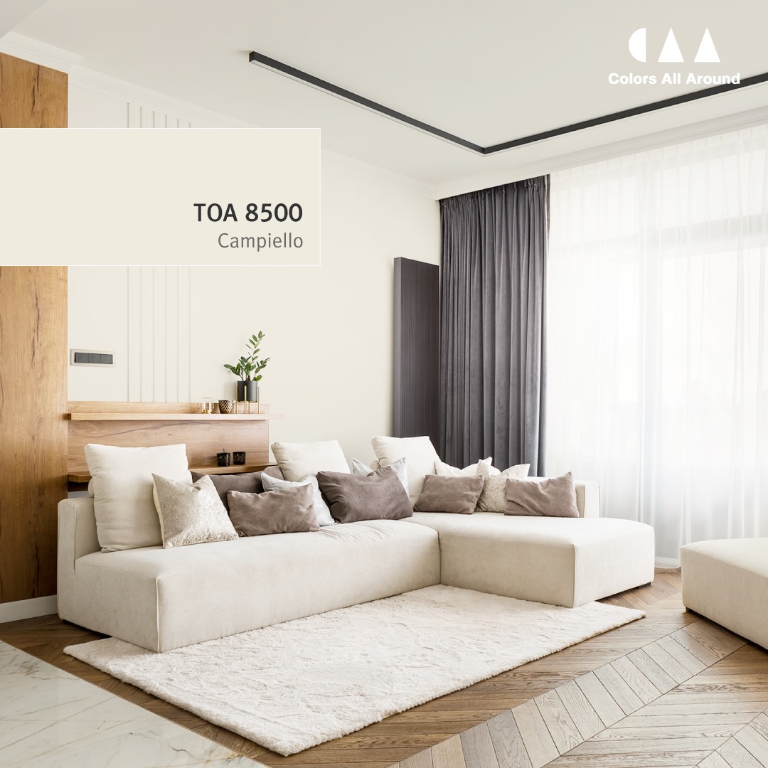 ตัวอย่างบ้านสีขาวงาช้างสวยๆ TOA 8500