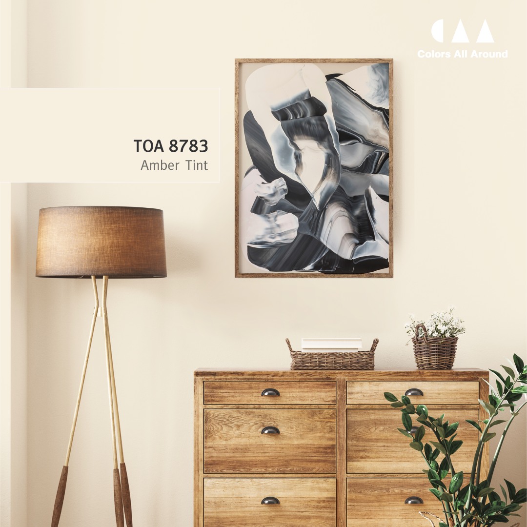 ไอ เดีย บ้านสีขาว TOA 8783