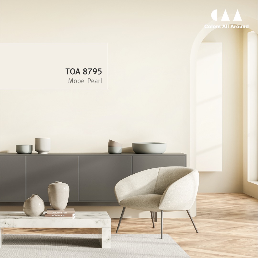 สีทาภายในสีขาว TOA 8795