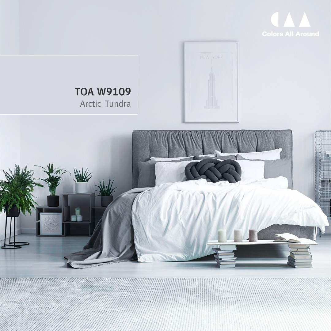 สีขาวควันบุหรี่สวยๆ จาก TOA Color Trend รหัส TOA W9109