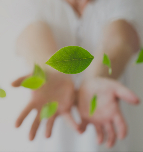 สีใส่ใจสุขภาพ <br>และสิ่งแวดล้อม