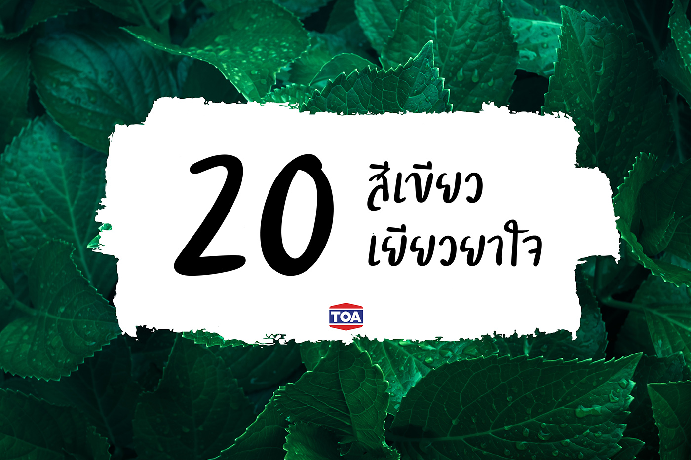 20 สีเขียว เยียวยาใจ