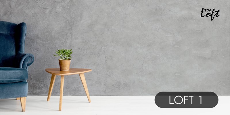 สีสร้างลาย ปูนเปลือย สีเทาอ่อน TOA Loft 1