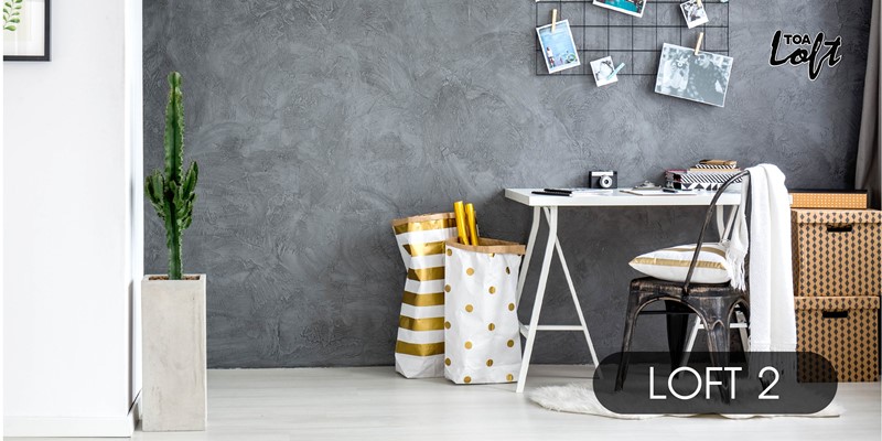 สีสร้างลาย ปูนเปลือย สีเทากลาง TOA Loft 2