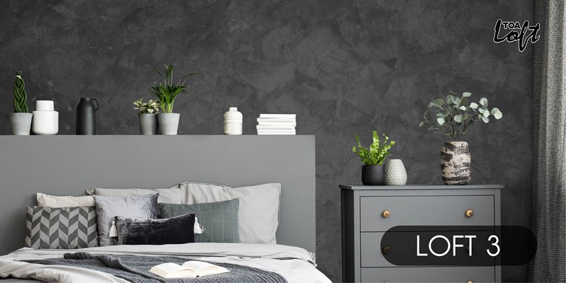 สีสร้างลาย ปูนเปลือย สีเทาเข้ม TOA Loft 3