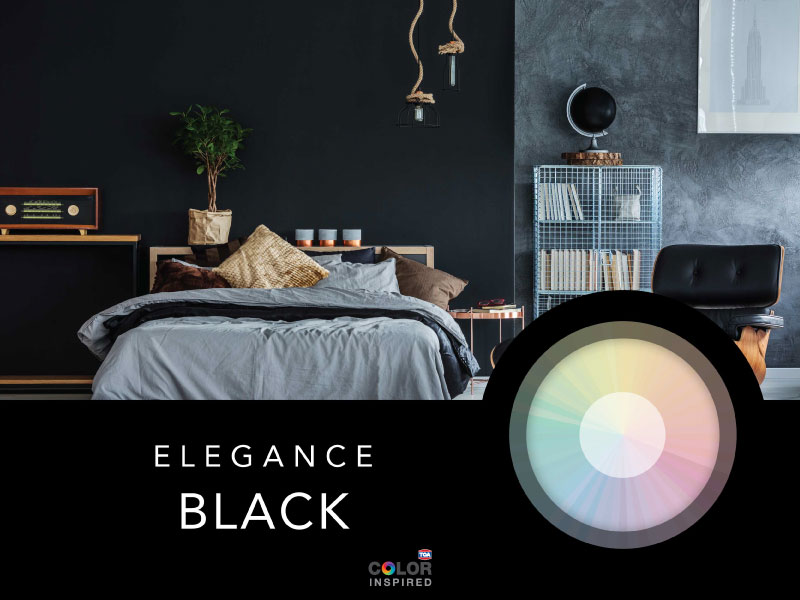 แต่งบ้าน กลุ่มโทนสีดำสวยๆ ด้วยพัดสีเล่มใหม่ จาก TOA New Fandeck