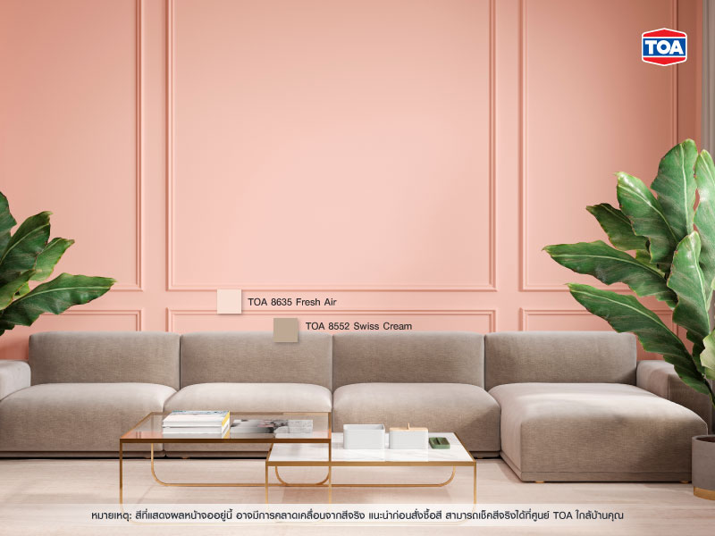 สีชมพูกับสีน้ำตาล