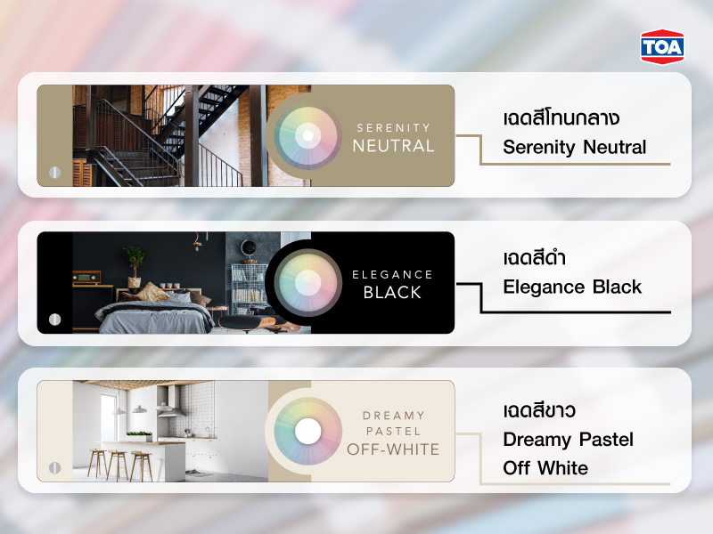 ความหมายของเฉดสีโทนกลาง, สีดำ และสีขาว