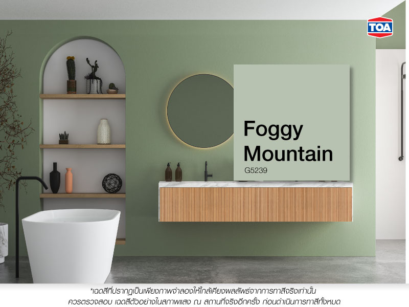 Foggy Mountain