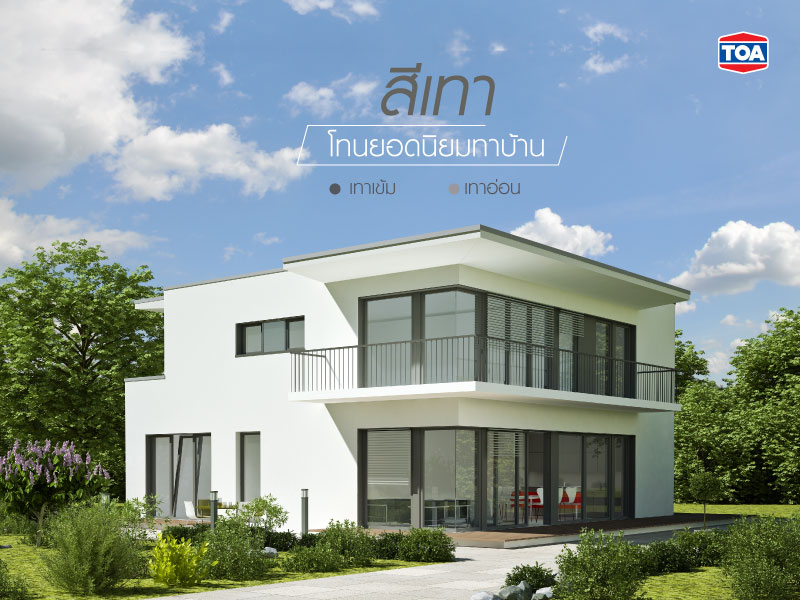 สีเทายอดนิยม