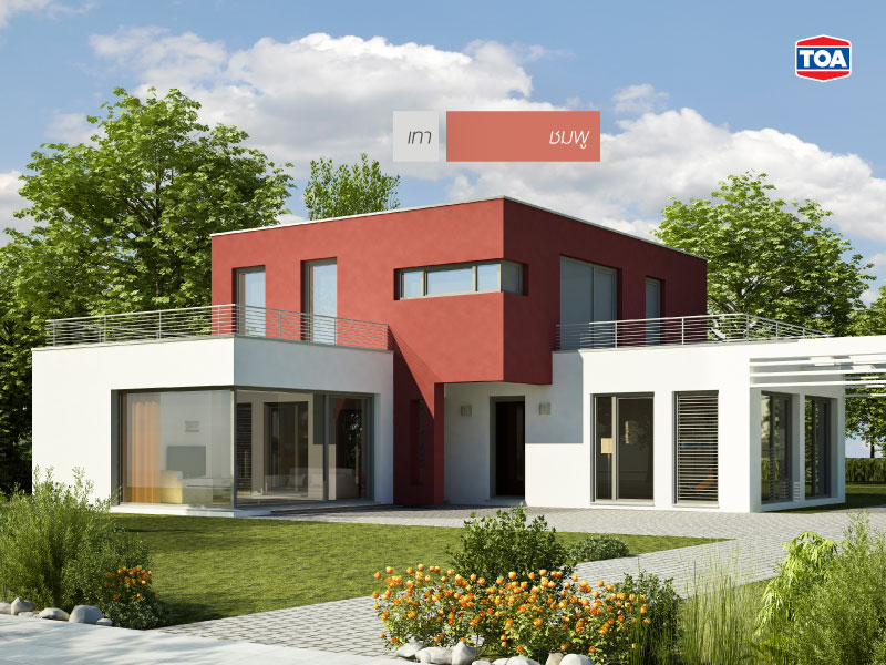 สีเทากับสีชมพู