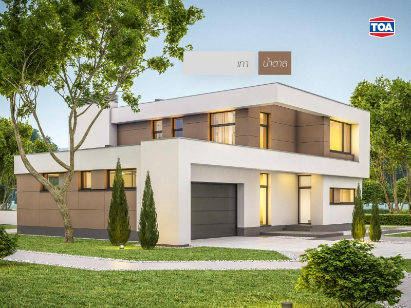 สีเทากับสีน้ำตาล