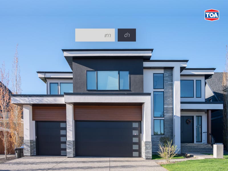 สีเทากับสีดำ