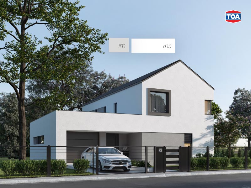 สีเทากับสีขาว