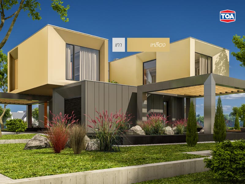 สีเทากับสีเหลือง