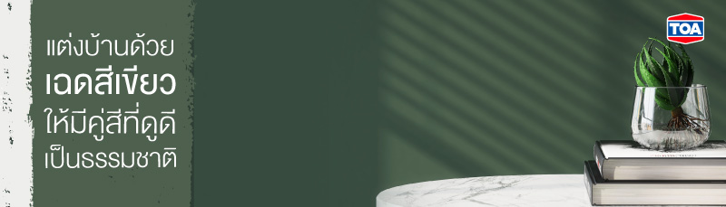 แต่งบ้านด้วยเฉดสีเขียวอย่างไรให้มีคู่สีที่ดูดี เป็นธรรมชาติ