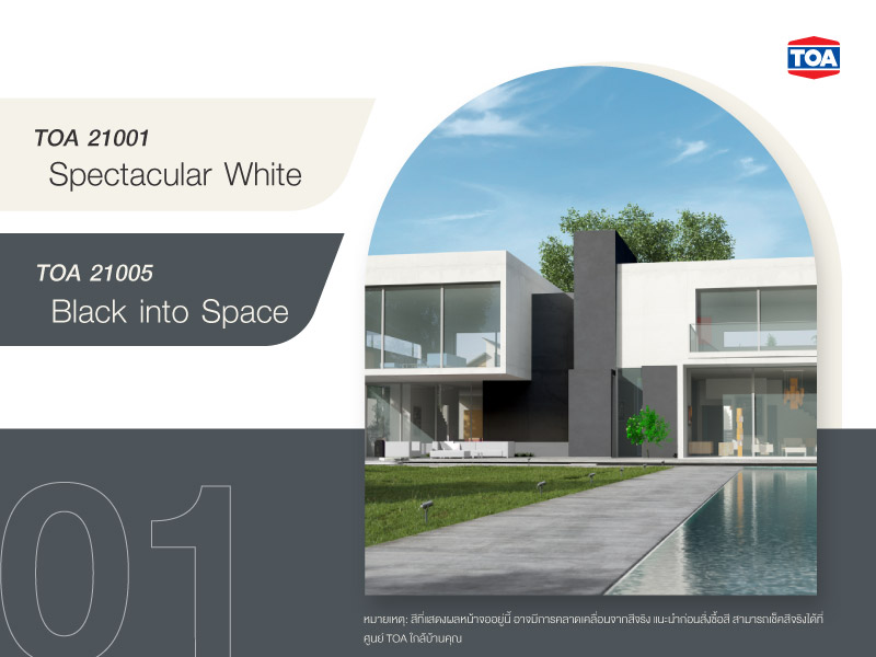 บ้านมินิมอลโมเดิร์นสี TOA 21001 และ TOA 21005