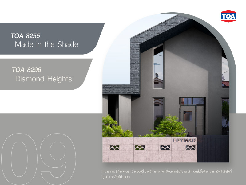 บ้านมินิมอลโมเดิร์นสี TOA 8255 และ TOA 8296