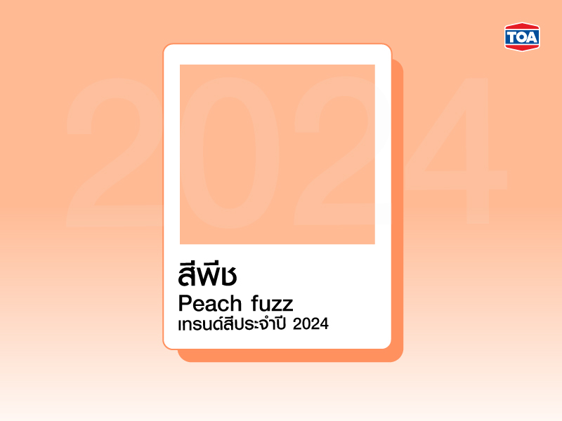 สีพีช &ldquo;Peach Fuzz&rdquo; เทรนด์สีประจำปี 2024