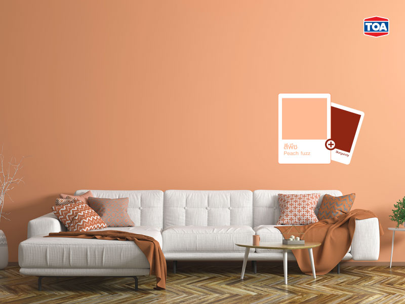 Peach Fuzz + Burgundy&rdquo; เทรนด์สีประจำปี 2024