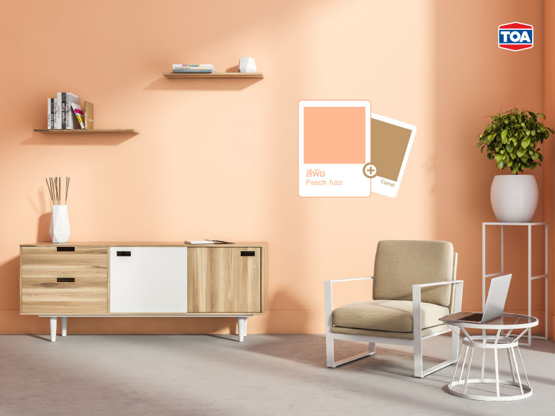 Peach Fuzz + Camel&rdquo; เทรนด์สีประจำปี 2024