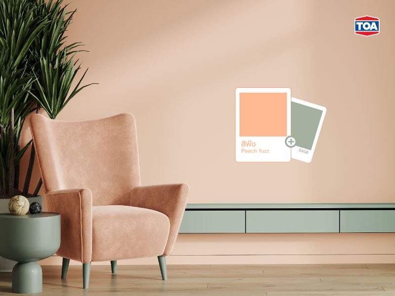 Peach Fuzz + Sage&rdquo; เทรนด์สีประจำปี 2024