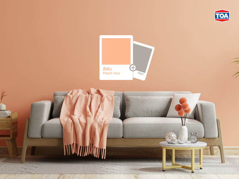 Peach Fuzz + Grey&rdquo; เทรนด์สีประจำปี 2024