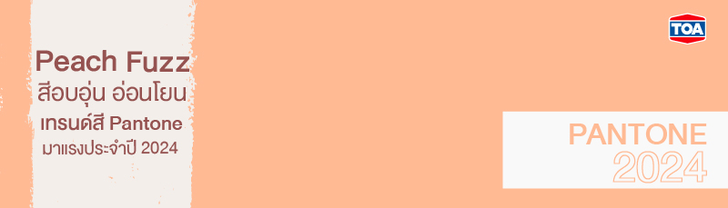 Peach Fuzz สีอบอุ่น อ่อนโยน เทรนด์สี Pantone มาแรงประจำปี 2024