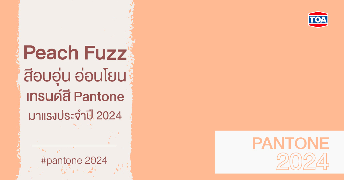 Peach Fuzz สีอบอุ่น อ่อนโยน เทรนด์สี Pantone มาแรงประจำปี 2024