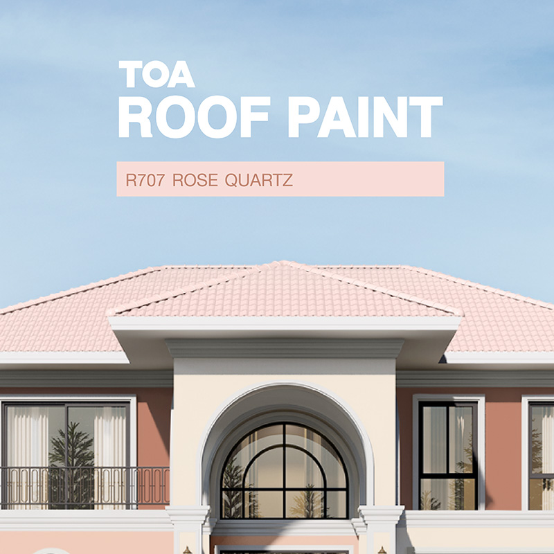 หลังคาบ้านสีแปลกๆ สวยๆ สีชมพูอ่อน