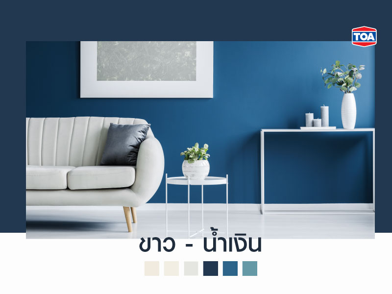 คู่สีขาว-สีน้ำเงิน