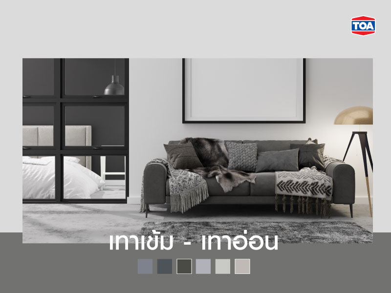 คู่สีเทาเข้ม-สีเทาอ่อน