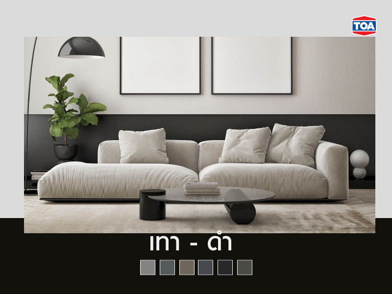 คู่สีเทา-สีดำ