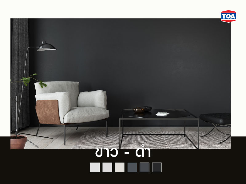 คู่สีขาว-สีดำ