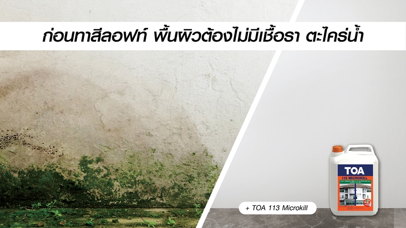 การใช้น้ำยากำจัดเชื้อรา ก่อนทาบ้าน สีลอฟท์