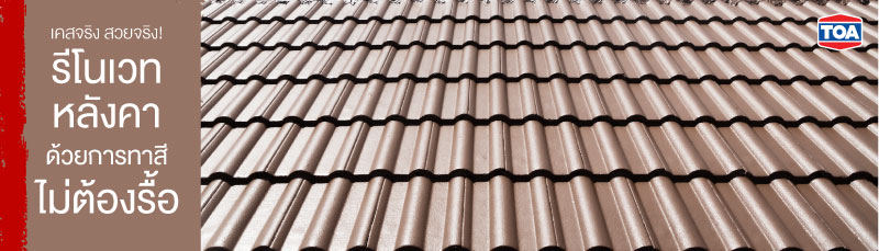รีโนเวทหลังคาบ้าน ด้วยการทาสี สวยเหมือนใหม่แถมไม่ต้องรื้อ 