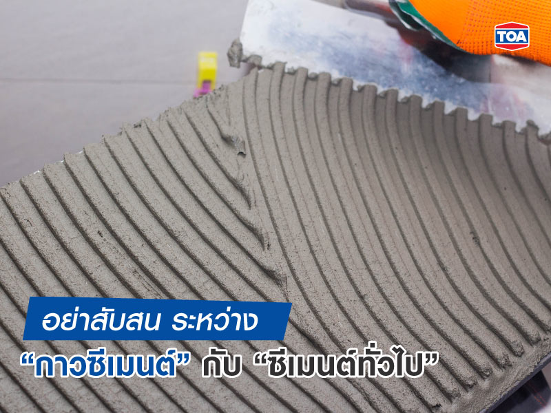 อย่าสับสน ระหว่าง “กาวซีเมนต์” กับ “ซีเมนต์ทั่วไป”