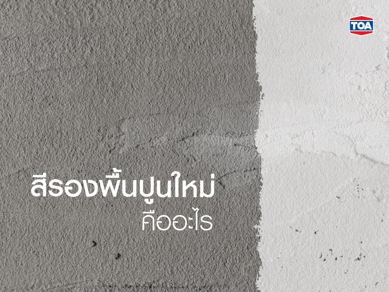 สีรองพื้นปูนใหม่ คืออะไร