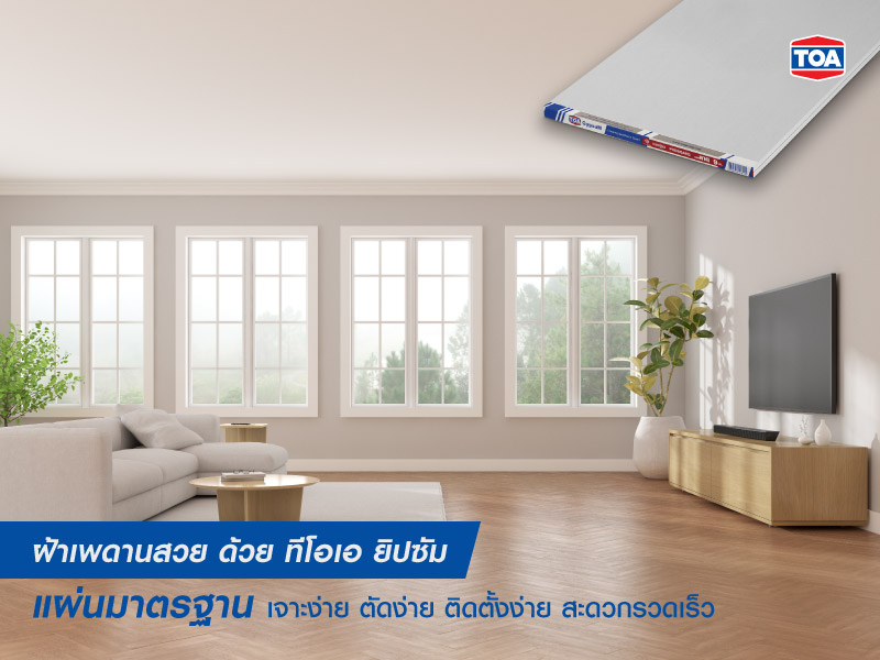 ทีโอเอ ยิปซัม แผ่นมาตรฐาน