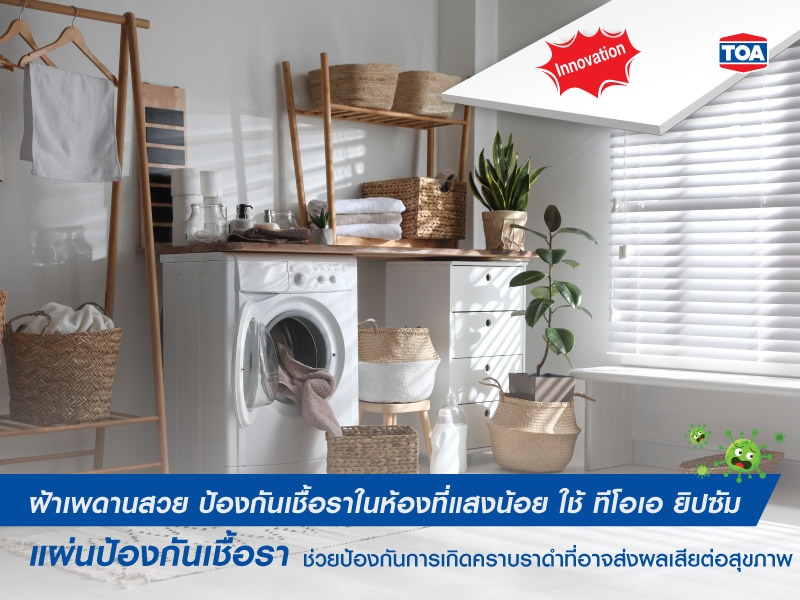 ทีโอเอ ยิปซัม แผ่นป้องกันเชื้อรา