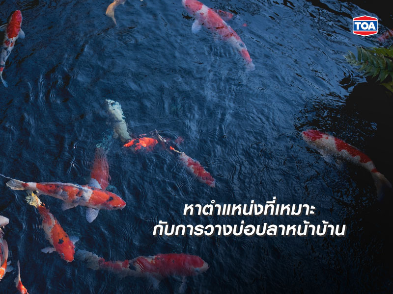 ตำแหน่งที่เหมาะกับการวางบ่อปลาหน้าบ้าน