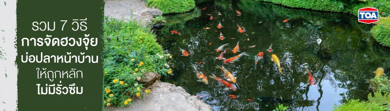 รวม 7 วิธีการจัดฮวงจุ้ยบ่อปลาหน้าบ้าน ให้ถูกหลัก ไม่มีรั่วซึม