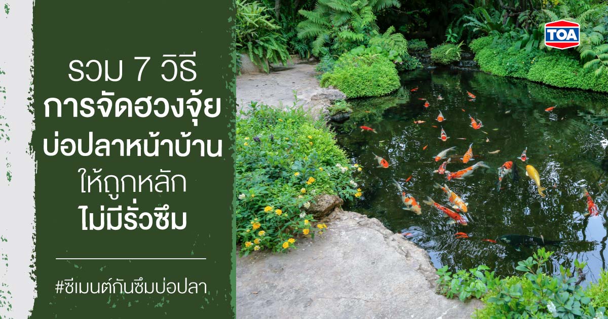 รวม 7 วิธีการจัดฮวงจุ้ยบ่อปลาหน้าบ้าน ให้ถูกหลัก ไม่มีรั่วซึม
