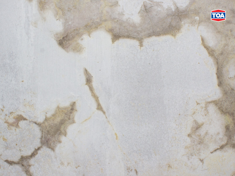 สาเหตุที่น้ำซึมเข้าทางผนังบ้าน