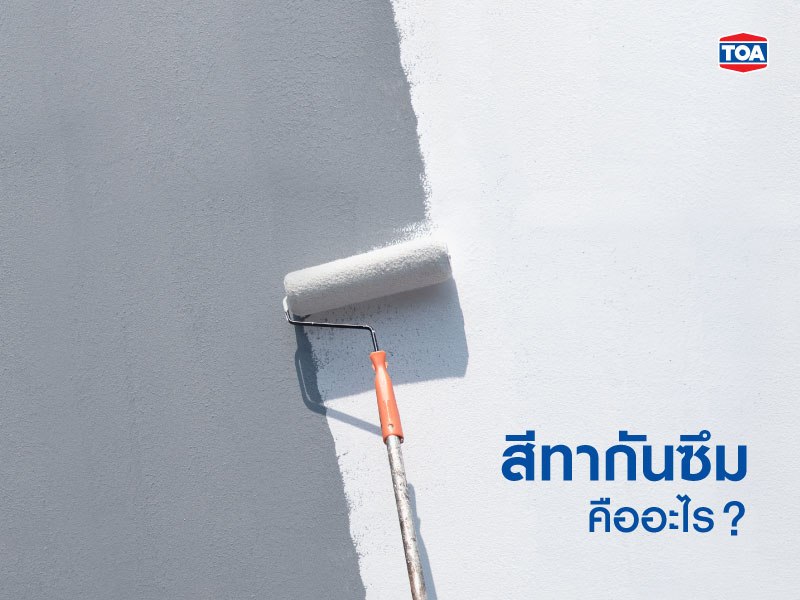 สีทากันซึม คืออะไร?