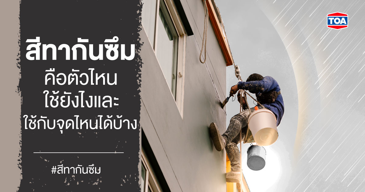 สีทากันซึม คือตัวไหน ใช้ยังไง และใช้กับจุดไหนได้บ้าง