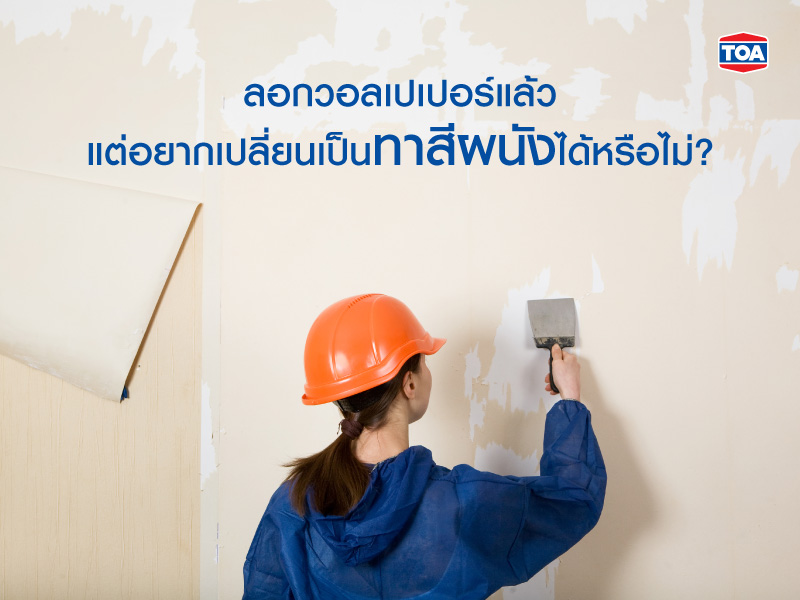 ลอกวอลเปเปอร์แล้ว แต่อยากเปลี่ยนเป็นทาสีผนังได้หรือไม่?