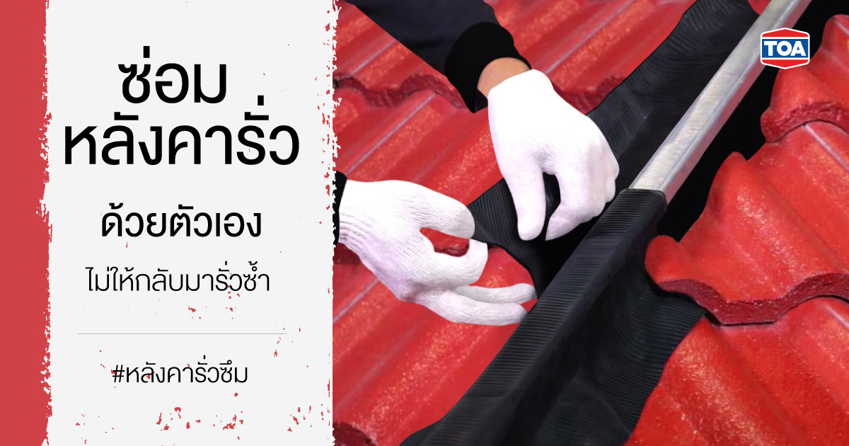 วิธีซ่อมหลังคารั่วด้วยตัวเอง ไม่ให้กลับมารั่วซ้ำ