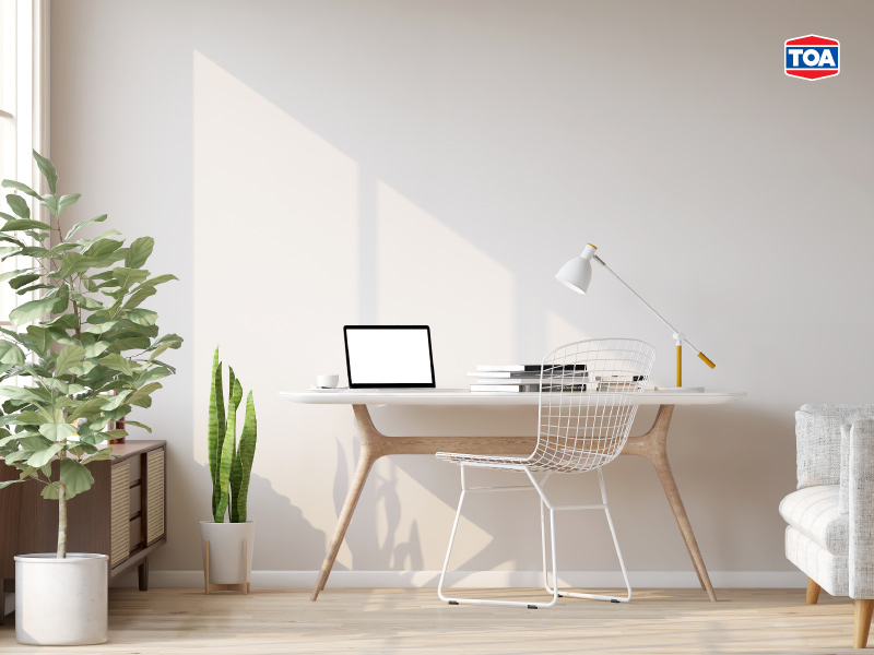 สีเดย์ไลท์